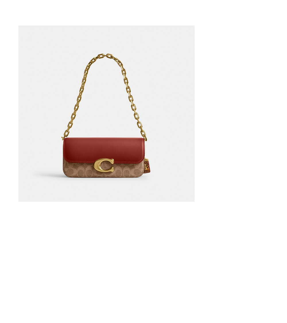 Idol Bag 23