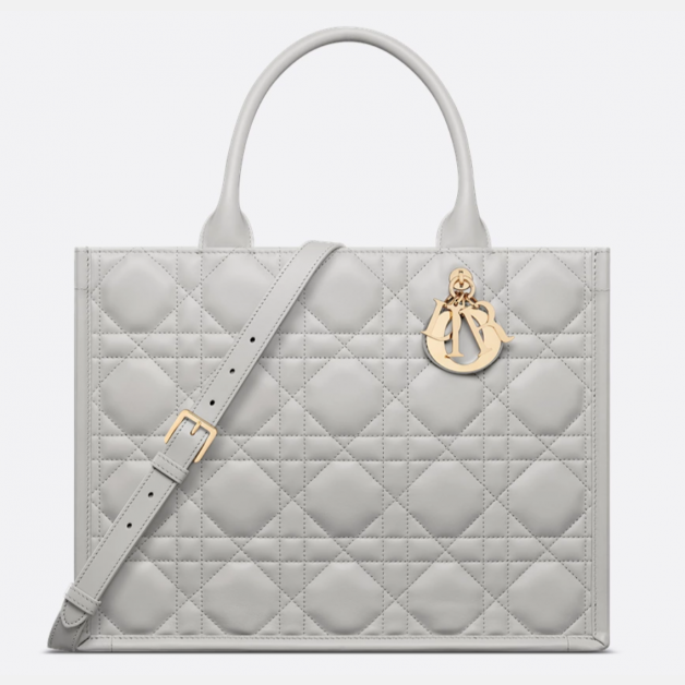 Medium Dior Book Tote