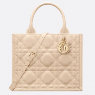 Small Dior Book Tote