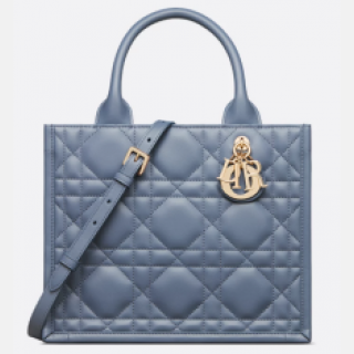 Small Dior Book Tote
